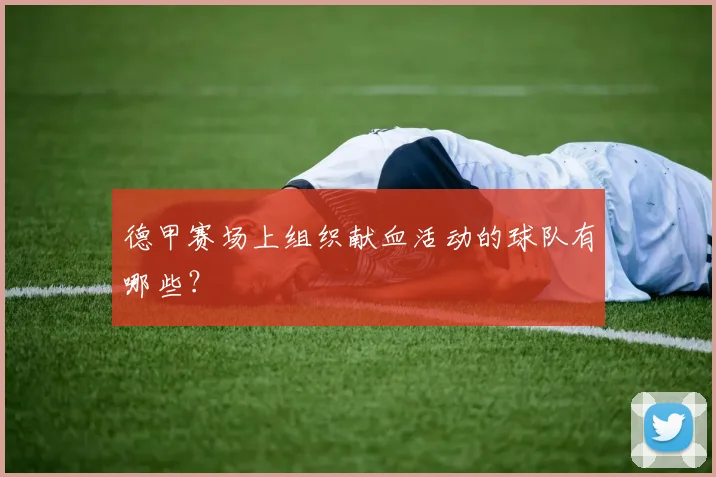 德甲赛场上组织献血活动的球队有哪些？