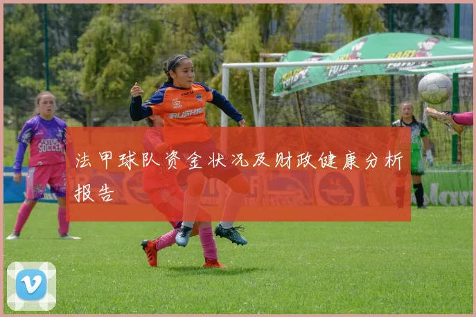 法甲球队资金状况及财政健康分析报告