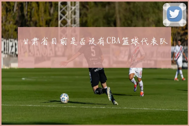 甘肃省目前是否设有CBA篮球代表队