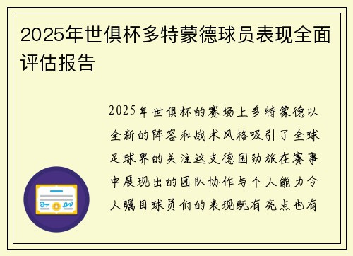 2025年世俱杯多特蒙德球员表现全面评估报告